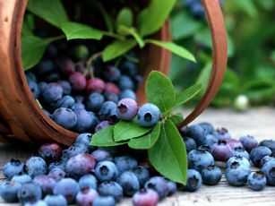 Blueberry-Benefits
