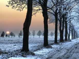 Žiemiškas kelias. / Wil van Dorp (deviantart.com) nuotr.