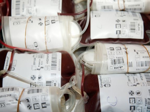 ES teisės aktai padeda užtikrinti, kad duodamas kraujas būtų kokybiškas, o donorai ir gavėjai jaustųsi saugūs. / EIP nuotr.