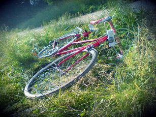red bike grass old.jpg.scaled500.jpg.scaled500