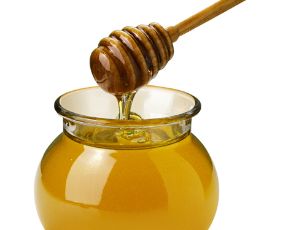 honey-kills-bacteria1