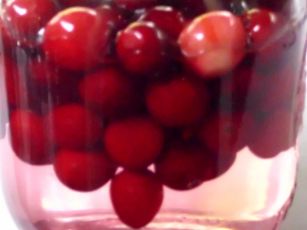 cranberry-infusion