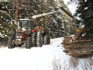 misko darbai medienos vezimas AGriauslio imone medienos traukimo traktorius1