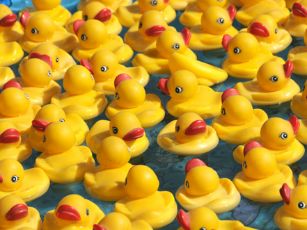 istock 000006257328small-rubber-ducks