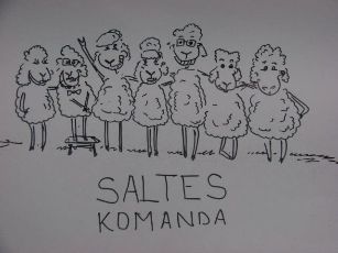 saltes-komanda