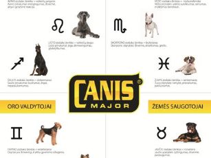 Suns veisle tinkamiausia skirtingiems zodiako zenklams
