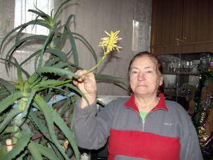 zydi alijosius