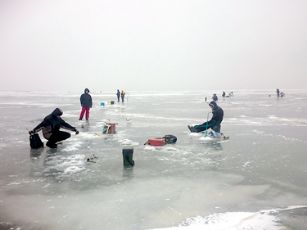 stintos Ant ledo simtai zveju