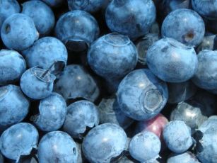 blueberries-1323326