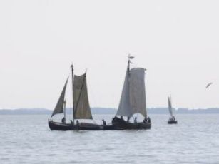 Regata