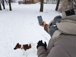 Kaip apsaugoti_telefona_ziema