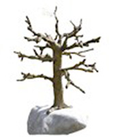 lietuv-viltis-7432