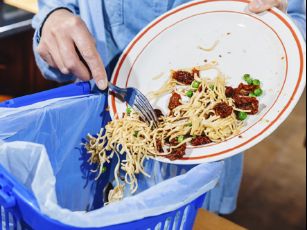 Food-waste-1024x683